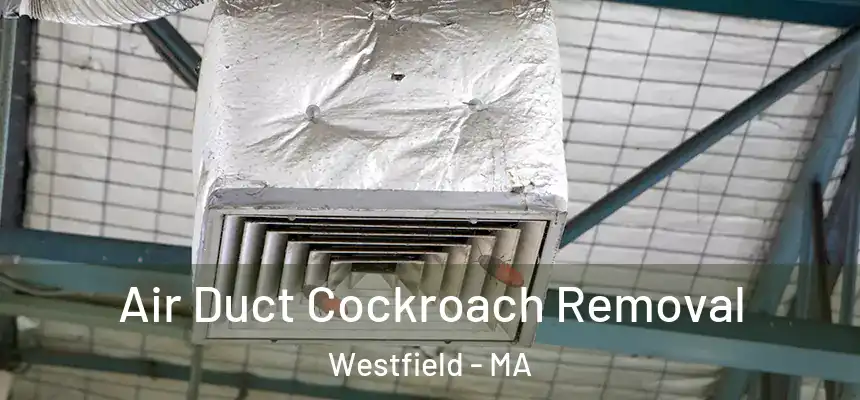 Air Duct Cockroach Removal Westfield - MA