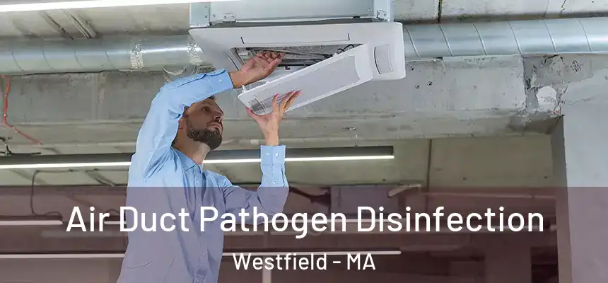  Air Duct Pathogen Disinfection Westfield - MA