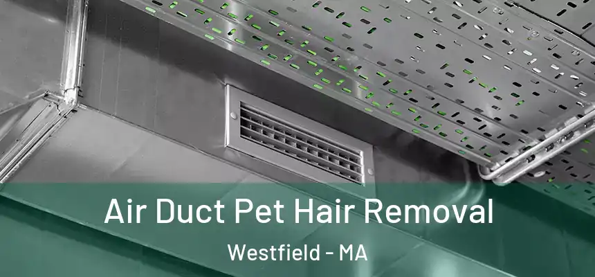  Air Duct Pet Hair Removal Westfield - MA