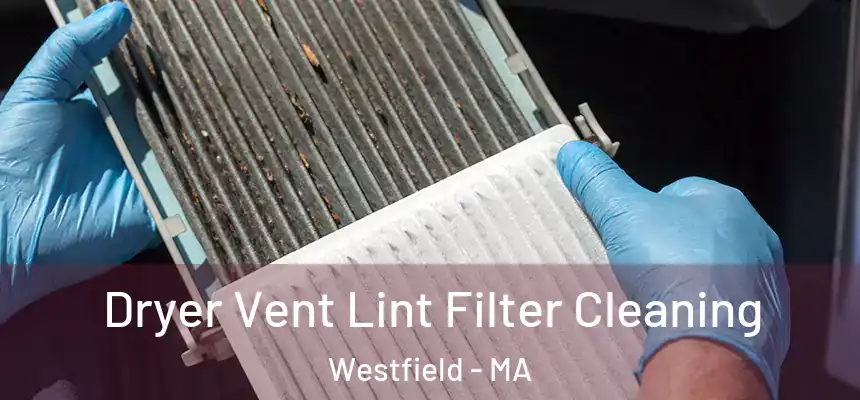  Dryer Vent Lint Filter Cleaning Westfield - MA