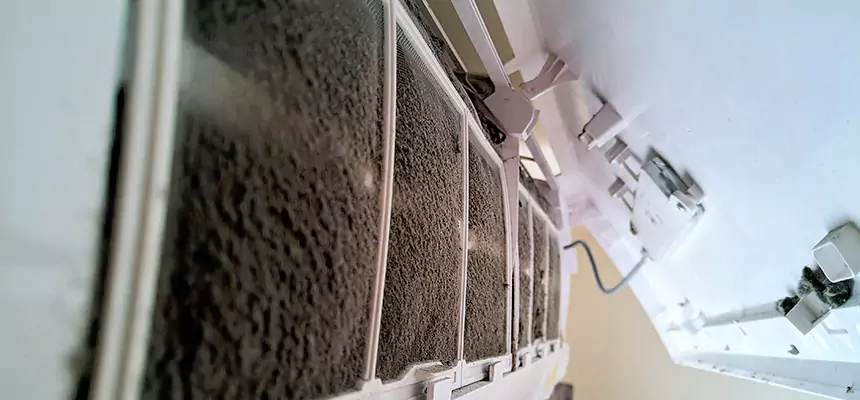 Preventive Air Duct Bacteria Removal in Westfield