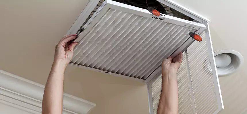 Preventive Cockroach-Proofing for Ducts in Westfield