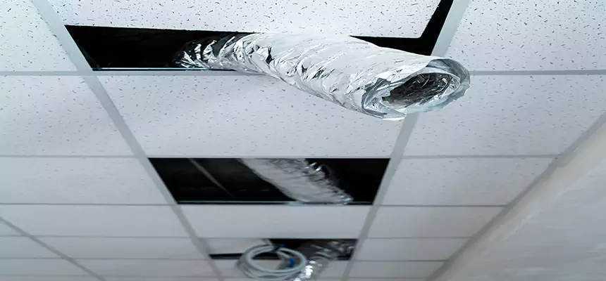 Affordable HVAC Sanitizing After Pest Removal in Westfield