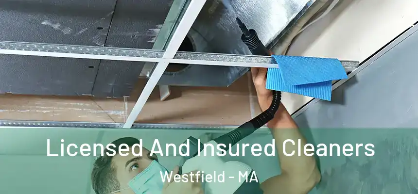  Licensed And Insured Cleaners Westfield - MA
