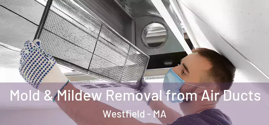Mold & Mildew Removal from Air Ducts Westfield - MA