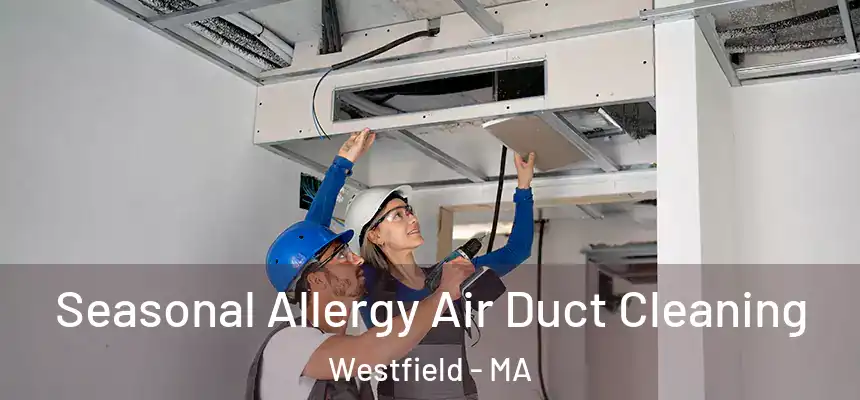  Seasonal Allergy Air Duct Cleaning Westfield - MA