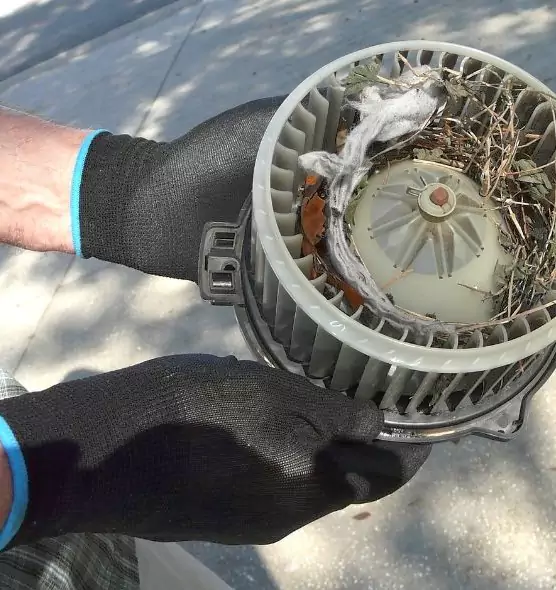 About Air Duct Rat Removal in Westfield, MA