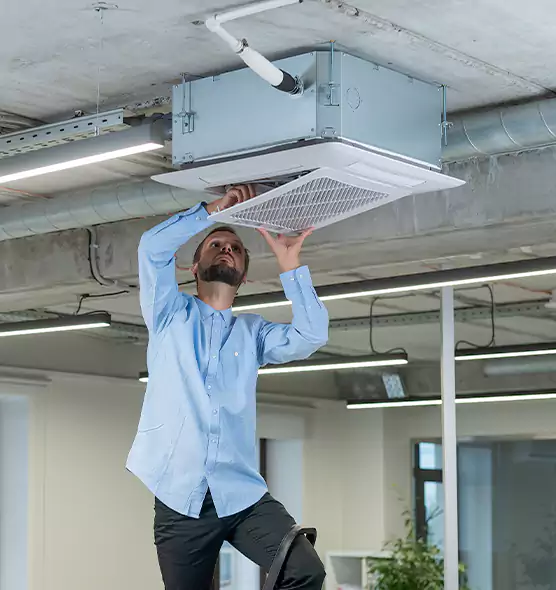 Advanced Rodent Droppings In Vents in Westfield, MA