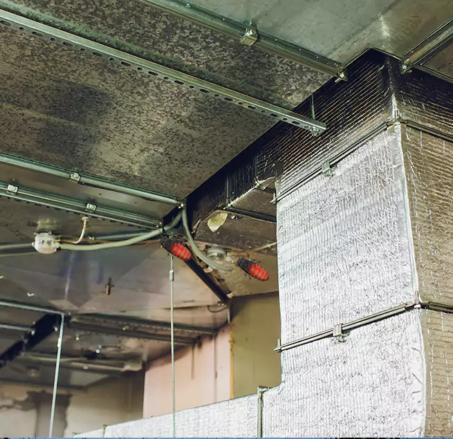 Why Homeowners & Businesses Trust Us in Westfield, MA?