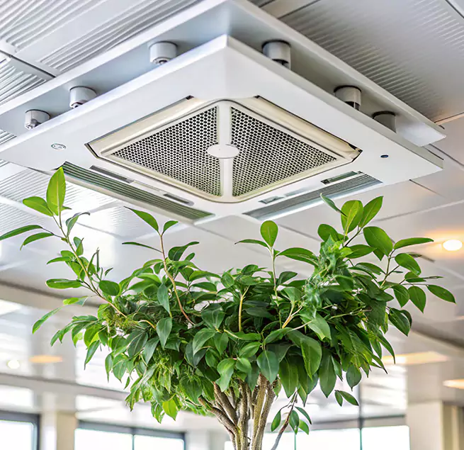 Why Homeowners & Businesses Trust Us in Westfield, MA?